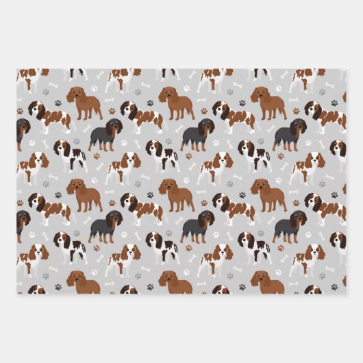 Cavalier King Charles Spaniel Paws en Botten Inpakpapier Vel (Voorkant 3)
