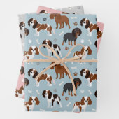 Cavalier King Charles Spaniel Paws en Botten Inpakpapier Vel (In situ)