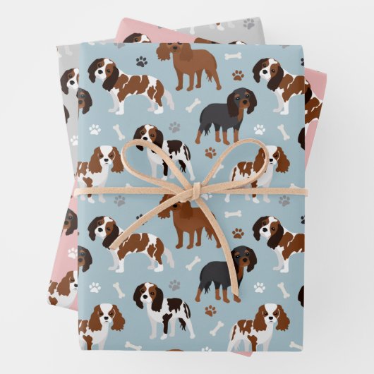 Cavalier King Charles Spaniel Paws en Botten Inpakpapier Vel (In situ)