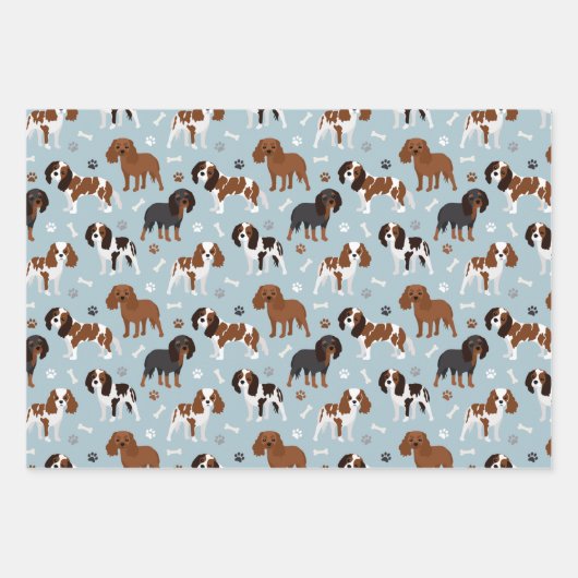 Cavalier King Charles Spaniel Paws en Botten Inpakpapier Vel (Voorkant)