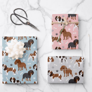 Cavalier King Charles Spaniel Paws en Botten Inpakpapier Vel