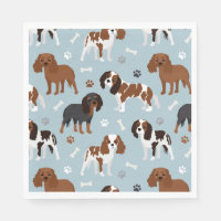 Cavalier King Charles Spaniel Paws en Botten