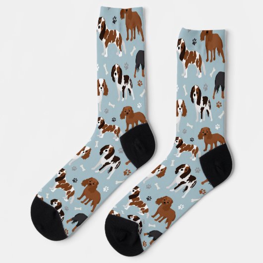 Cavalier King Charles Spaniel Paws en Botten Socks Sokken (Links)