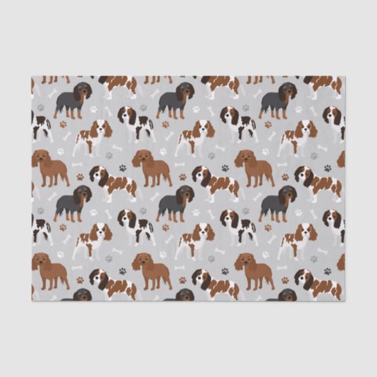 Cavalier King Charles Spaniel Paws en Botten Tissu Tissuepapier (Voorkant)