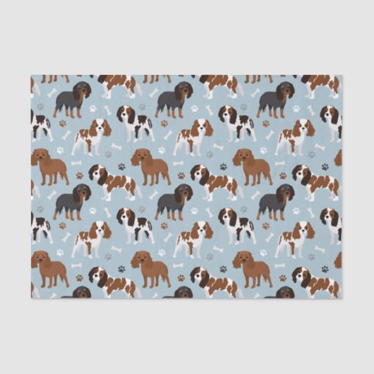 Cavalier King Charles Spaniel Paws en Botten Tissuepapier (Voorkant)