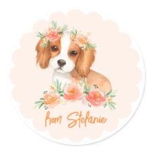 Cavalier King Charles Spaniel Peach Verjaardag