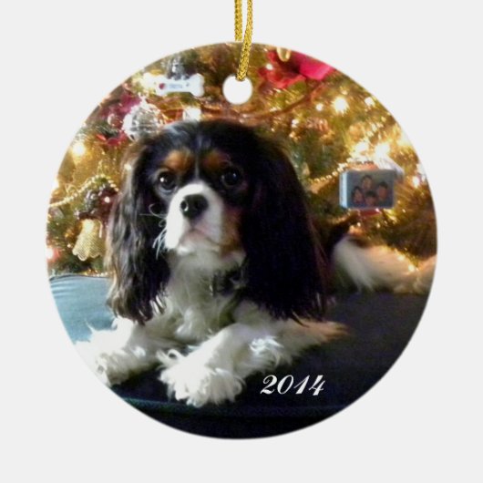 Cavalier King Charles Spaniel Personaliseert Ornam Keramisch Ornament (Voorkant)