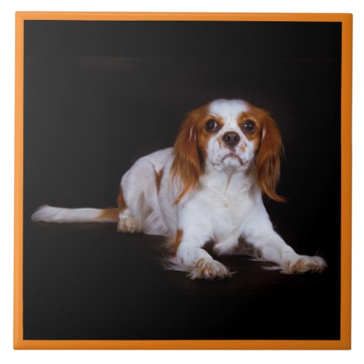 Cavalier King Charles Spaniel, Pet Love, KEEPSAKE Tegeltje (Voorkant)
