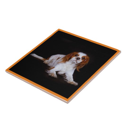 Cavalier King Charles Spaniel, Pet Love, KEEPSAKE Tegeltje (Zijkant)