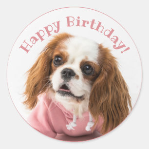 Cavalier King Charles Spaniel Pink Happy Birthday Ronde Sticker
