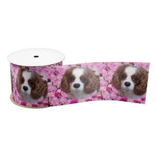 Cavalier King Charles Spaniel Pioenrozen Satijnen Lint