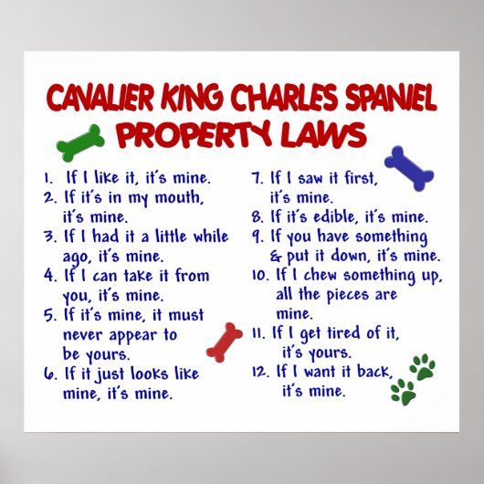 CAVALIER KING CHARLES SPANIEL PL2 POSTER (Voorkant)