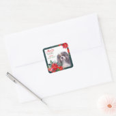 Cavalier King Charles Spaniel Poinsettia Bouquet Vierkante Sticker (Envelop)