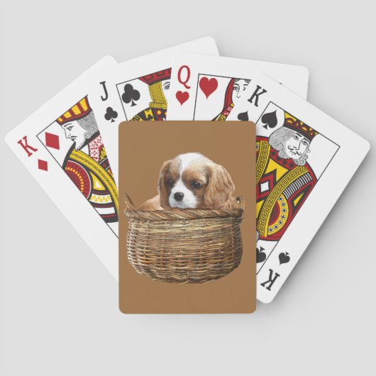 Cavalier King Charles Spaniel Pokerkaarten (Achterkant)