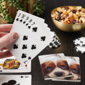 Cavalier King Charles Spaniel Pokerkaarten (Insitu)