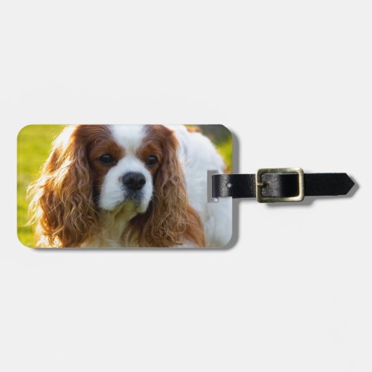 Cavalier King Charles Spaniel Portret Bagagelabel (Voorkant horizontaal)