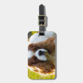 Cavalier King Charles Spaniel Portret Bagagelabel (Voorkant verticaal)