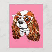 Cavalier King Charles Spaniel Portret Briefkaart (Voorkant)
