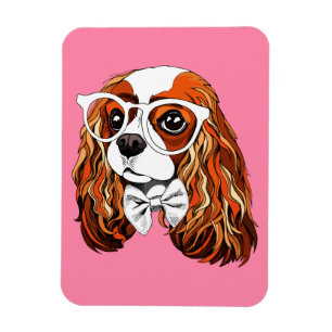 Cavalier King Charles Spaniel Portret Magneet