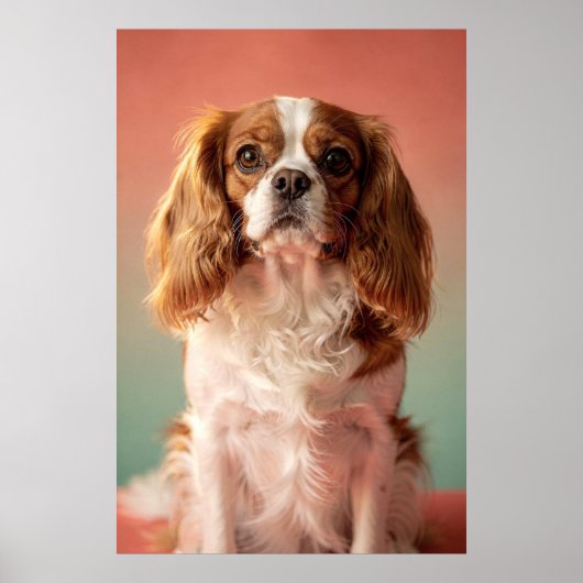 Cavalier King Charles Spaniel Portret Poster (Voorkant)