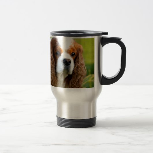 Cavalier King Charles Spaniel Portret Reisbeker (Rechts)