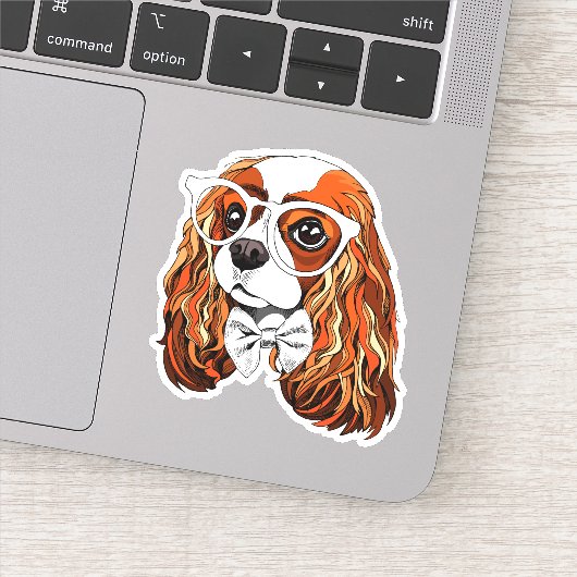Cavalier King Charles Spaniel Portret Sticker (Detail)