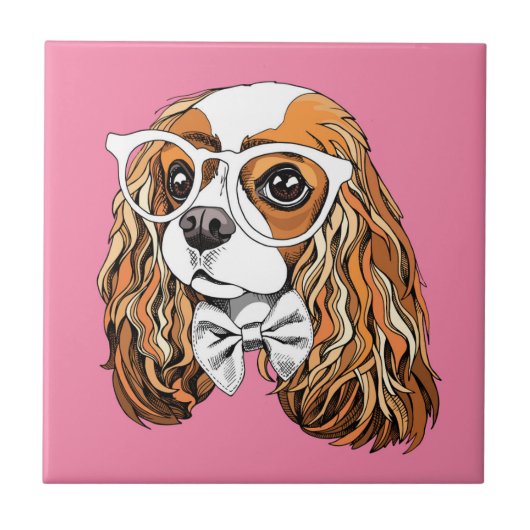 Cavalier King Charles Spaniel Portret Tegeltje (Voorkant)