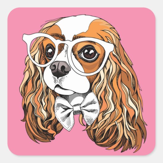 Cavalier King Charles Spaniel Portret Vierkante Sticker (Voorkant)