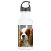 Cavalier King Charles Spaniel Portret Waterfles (Voorkant)