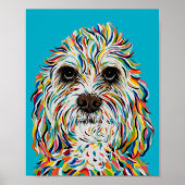 Cavalier King Charles Spaniel Poster (Voorkant)