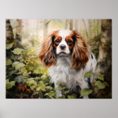 Cavalier King Charles Spaniel Poster (Voorkant)