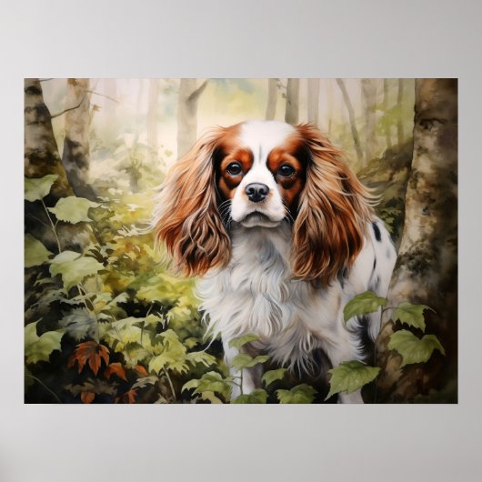Cavalier King Charles Spaniel Poster (Voorkant)
