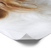 Cavalier King Charles Spaniel Poster (Hoek)