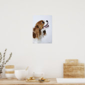 Cavalier King Charles Spaniel Poster (Keuken)