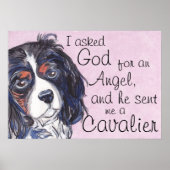 cavalier king charles spaniel poster (Voorkant)