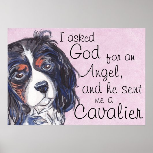 cavalier king charles spaniel poster (Voorkant)