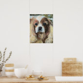 Cavalier King Charles Spaniel Poster (Keuken)