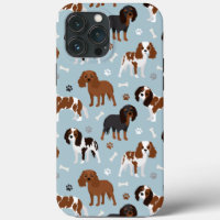 Cavalier King Charles Spaniel poten en botten