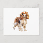 Cavalier King Charles Spaniel print Hondenkunst pr Briefkaart (Voorkant)
