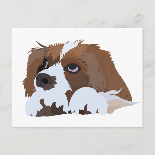 Cavalier King Charles Spaniel Pup Briefkaart (Voorkant)