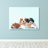 Cavalier King Charles Spaniel Puppies Canvas Afdruk (Insitu (Houten vloer))