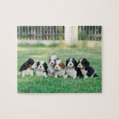 Cavalier King Charles Spaniel puppies Legpuzzel (Horizontaal)