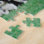 Cavalier King Charles Spaniel puppies Legpuzzel (Zijkant)