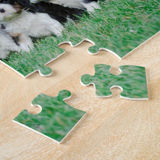 Cavalier King Charles Spaniel puppies Legpuzzel (Zijkant)