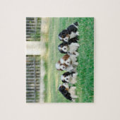 Cavalier King Charles Spaniel puppies Legpuzzel (Verticaal)