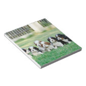 Cavalier King Charles Spaniel puppies Notitieblok (Schuin)