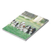 Cavalier King Charles Spaniel puppies Notitieblok (Linkerzijde)