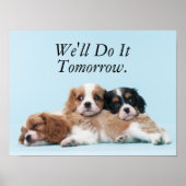 Cavalier King Charles Spaniel Puppies Poster (Voorkant)