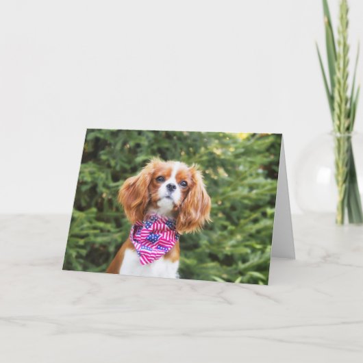 Cavalier King Charles Spaniel Puppy 4 juli Kaart (Voorkant)