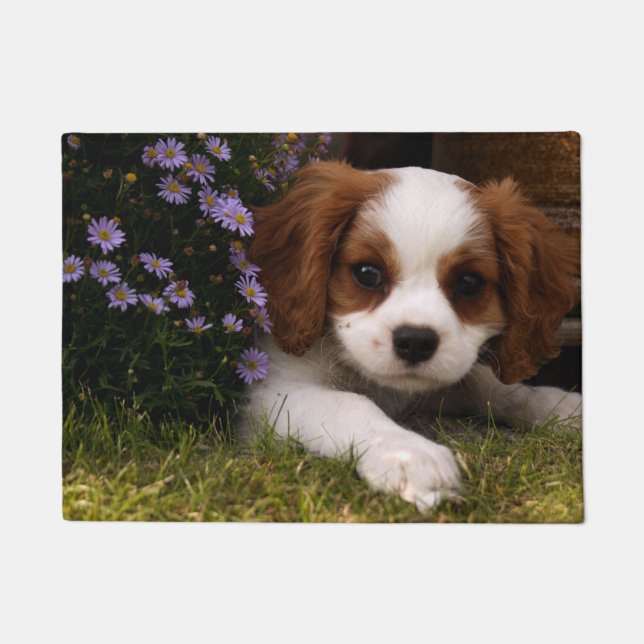 Cavalier King Charles Spaniel Puppy achter de bloe Deurmat (Voorkant)